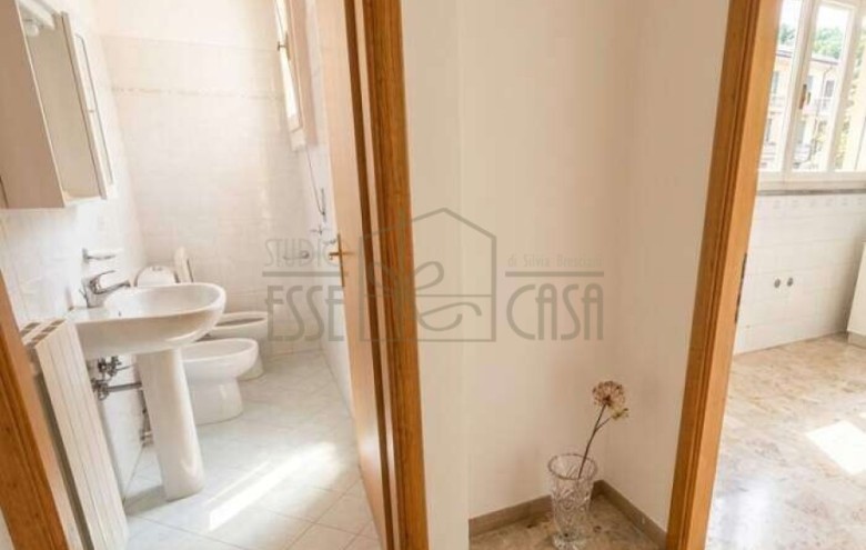 Fondo Commerciale in affitto a Camaiore