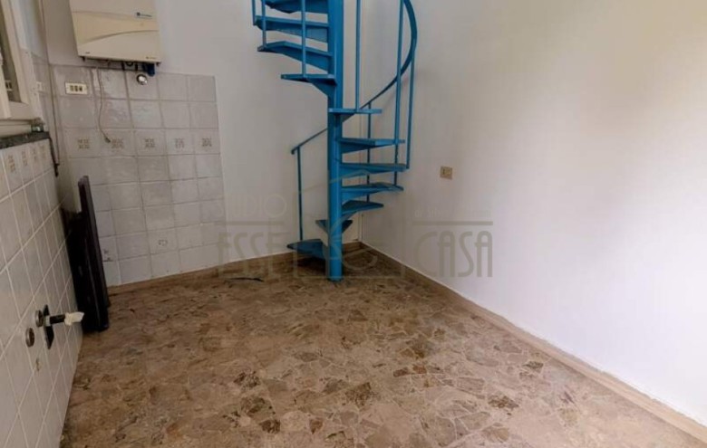 Fondo Commerciale in affitto a Camaiore