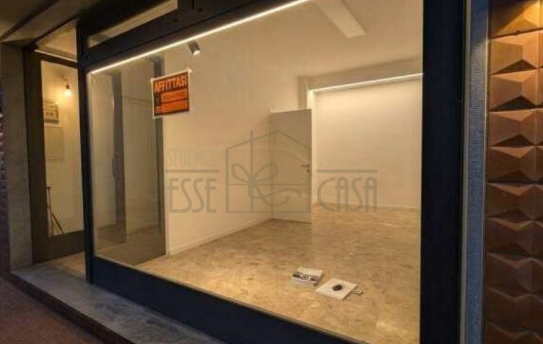 Fondo Commerciale in affitto a Camaiore