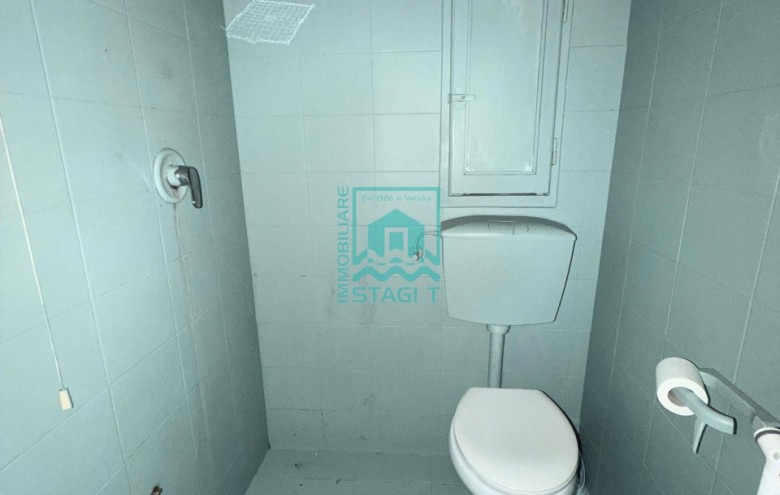 Fondo Commerciale in affitto a Camaiore