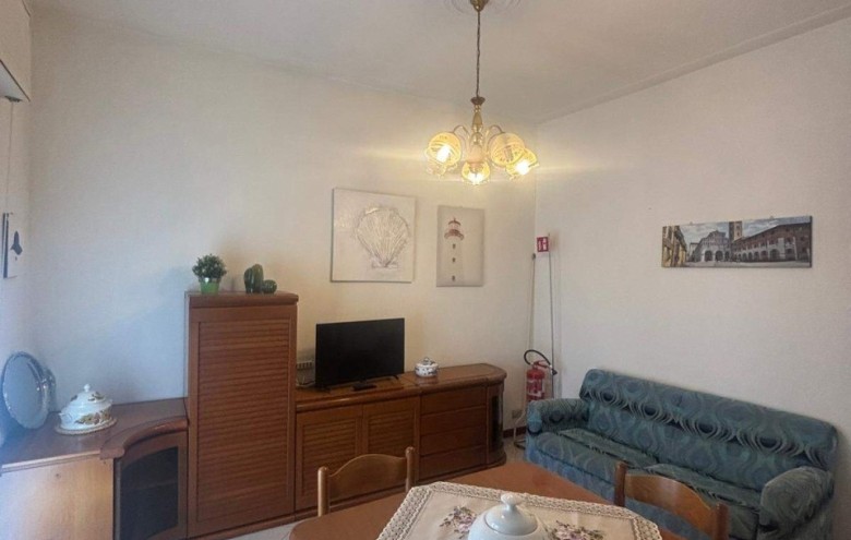 Appartamento in affitto a Camaiore