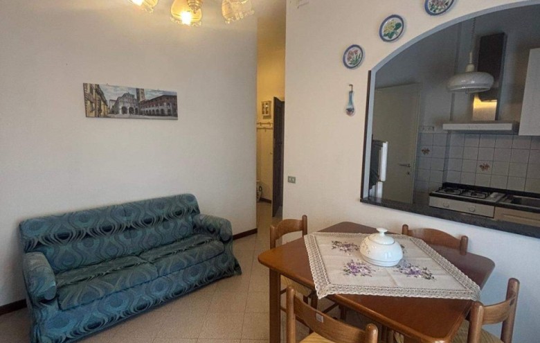 Appartamento in affitto a Camaiore