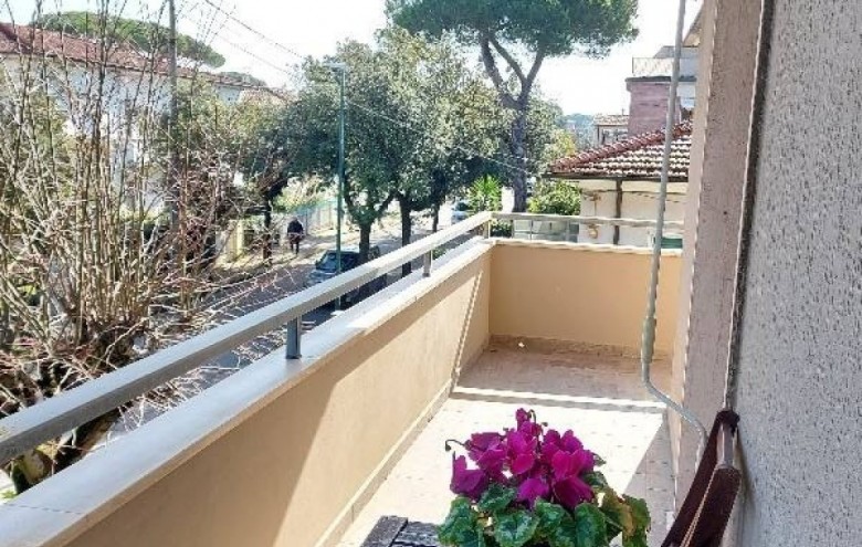 Appartamento in affitto a Camaiore