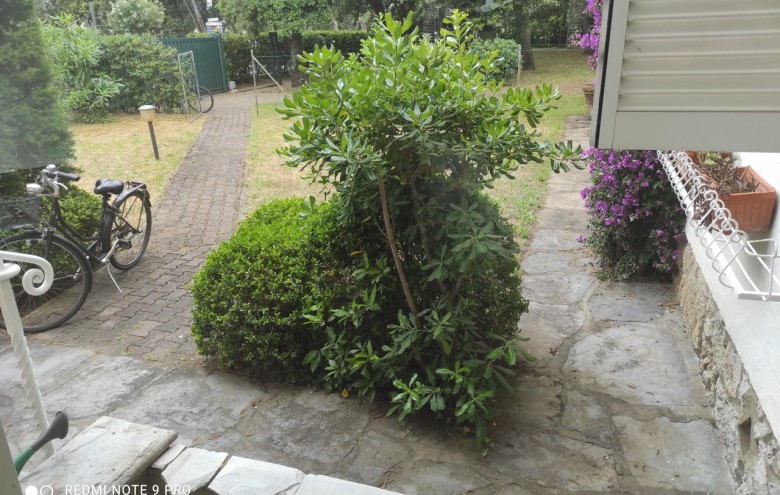 Villa singola in affitto a Camaiore