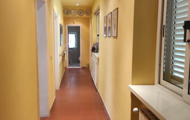 Villa singola in affitto a Camaiore