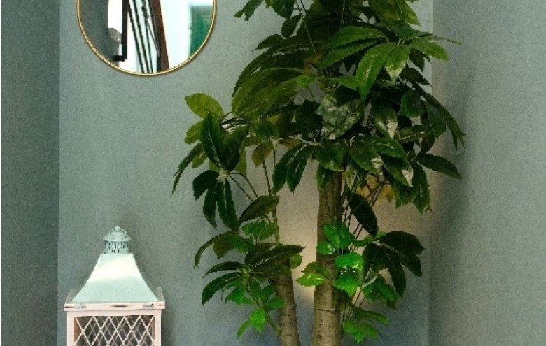 Appartamento in affitto a Camaiore