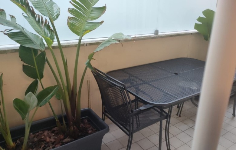 Appartamento in vendita a Camaiore