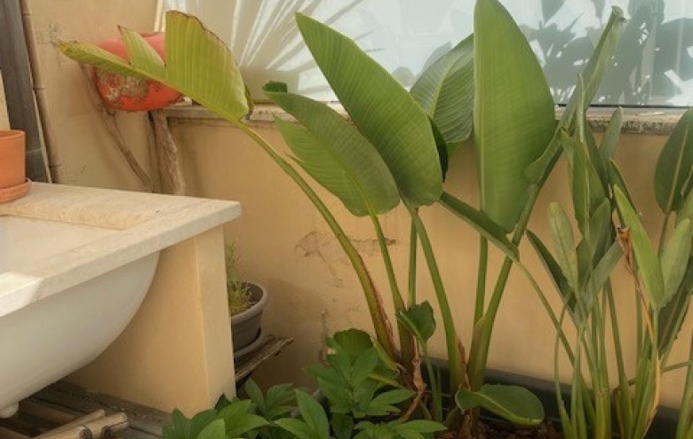 Appartamento in vendita a Camaiore