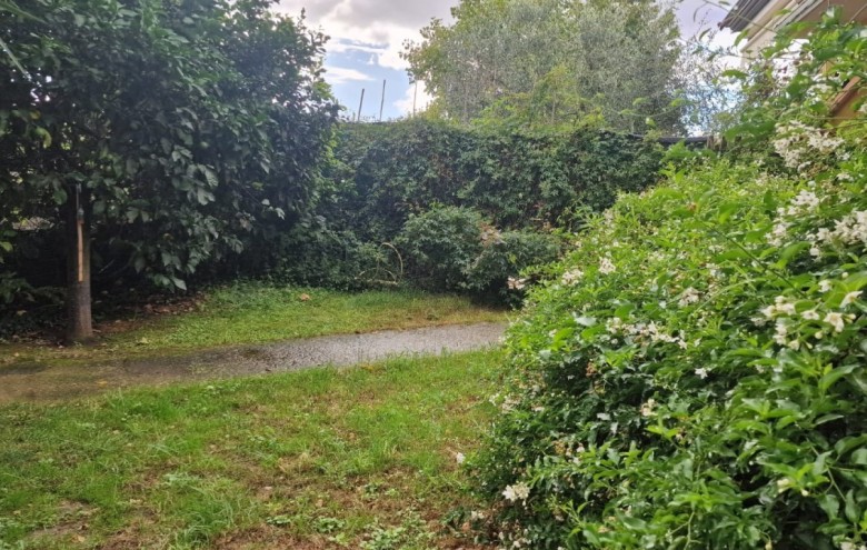 Villa singola in vendita a Massarosa