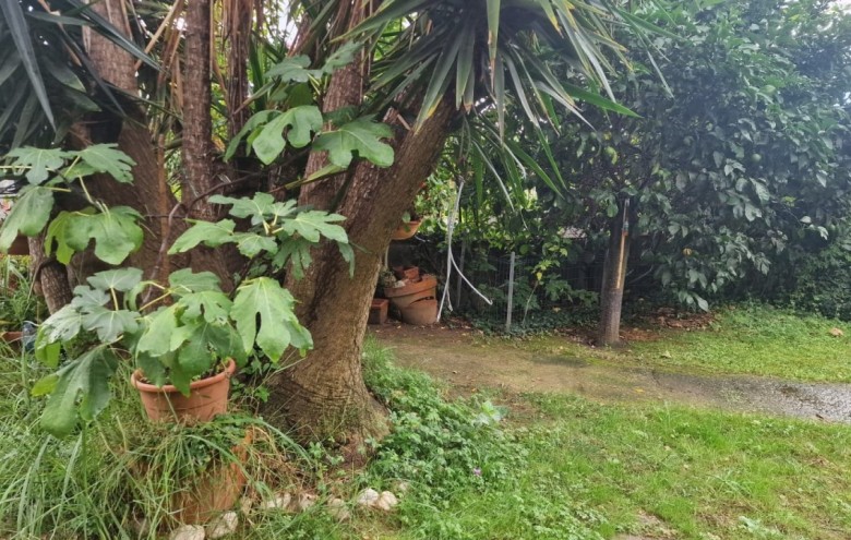 Villa singola in vendita a Massarosa