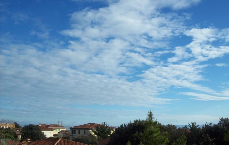 Appartamento in affitto a Massa