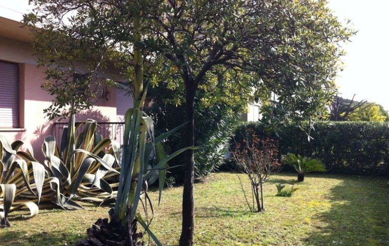 Appartamento in affitto a Massa