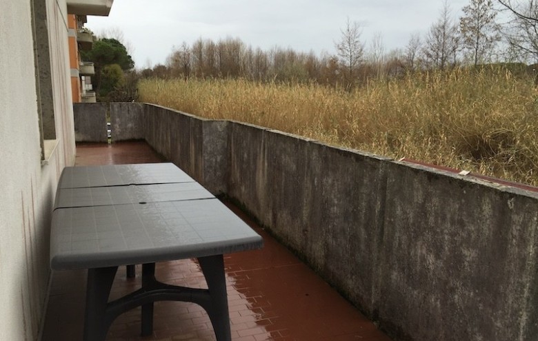 Appartamento in affitto a Massa