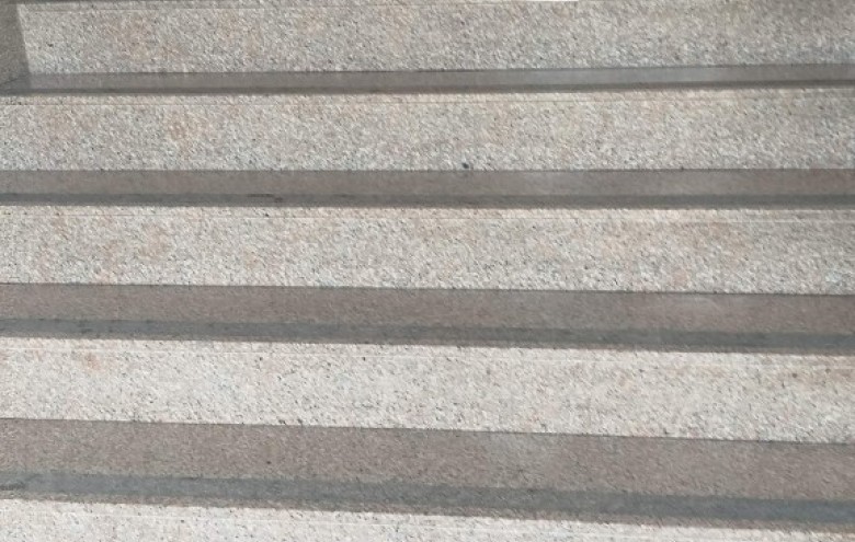 Appartamento in affitto a Viareggio