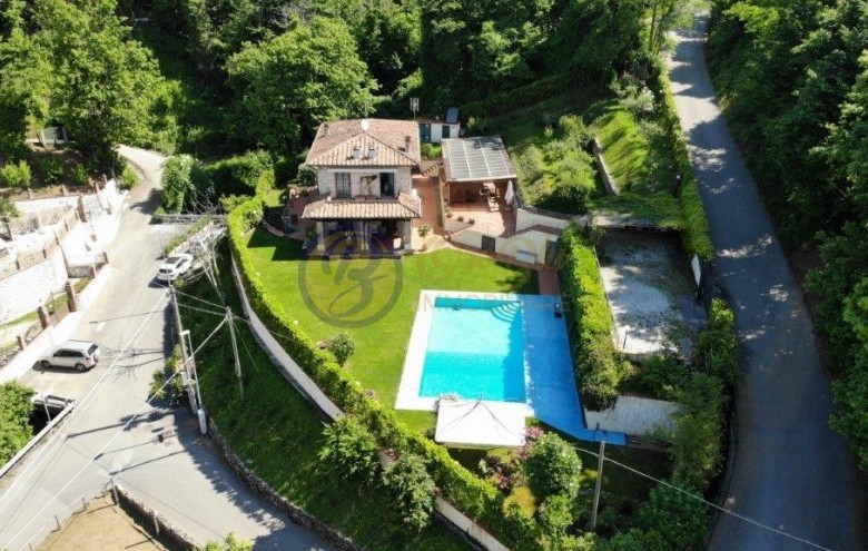 Villa singola in affitto a Camaiore