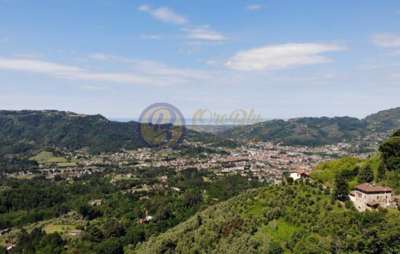 Villa singola in affitto a Camaiore