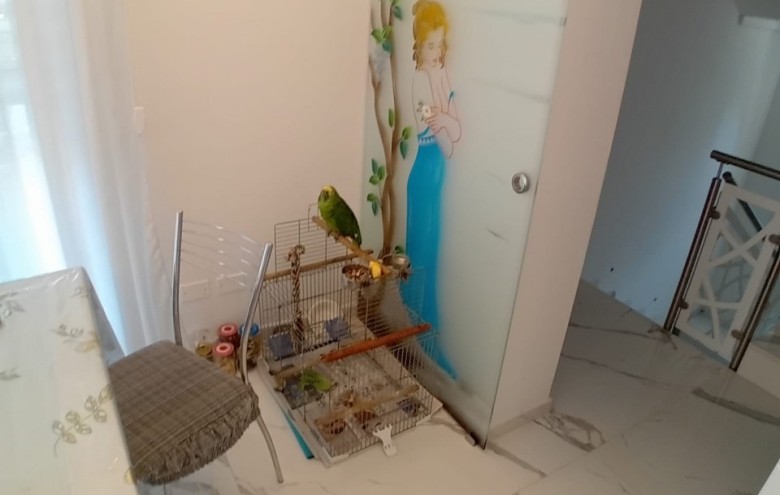 Bifamiliare in vendita a Pietrasanta