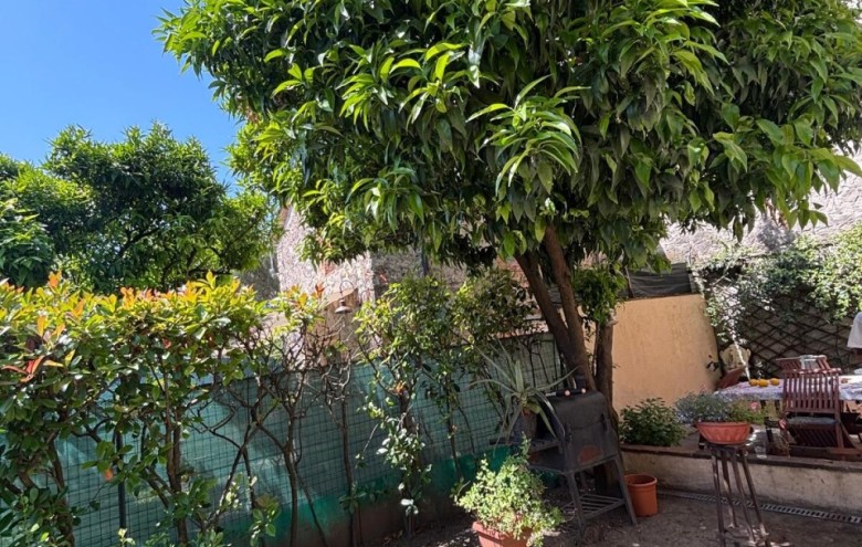 Terratetto in vendita a Camaiore