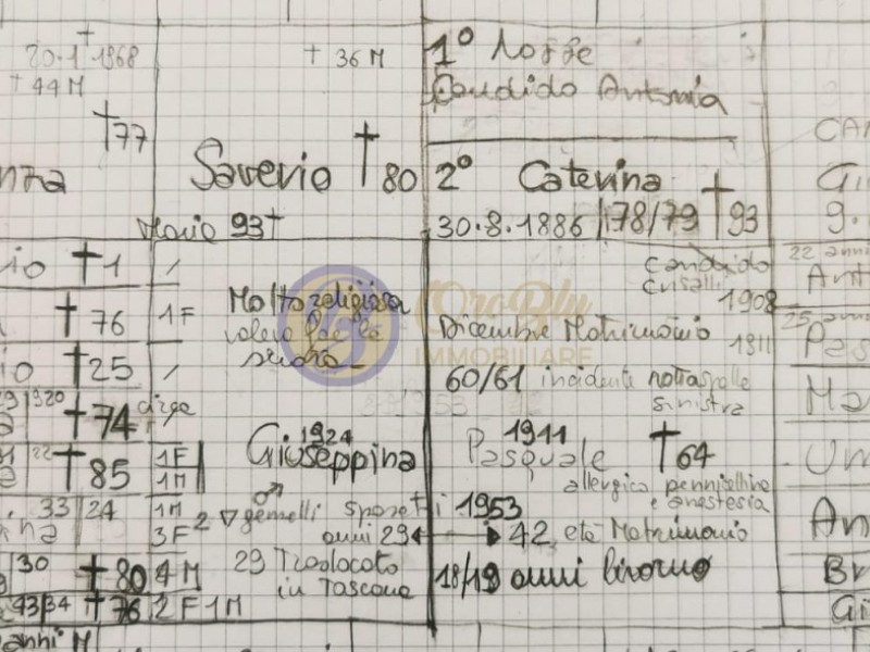 planimetria - Rustico in vendita a Camaiore