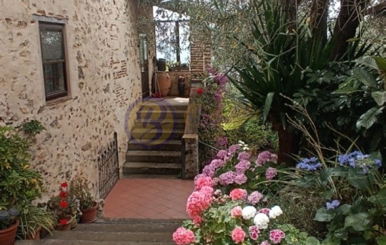 Rustico in vendita a Camaiore