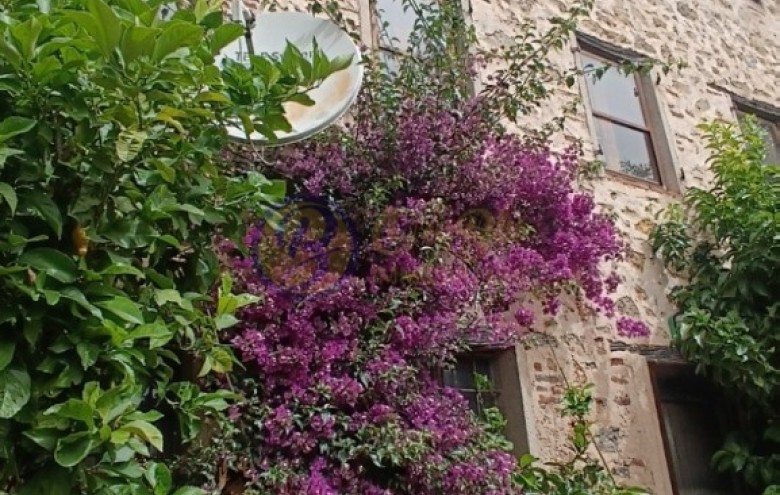 Rustico in vendita a Camaiore