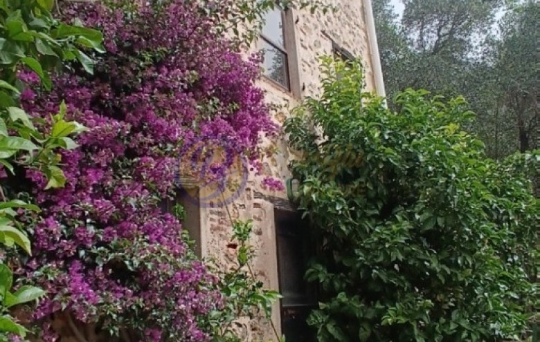 Rustico in vendita a Camaiore