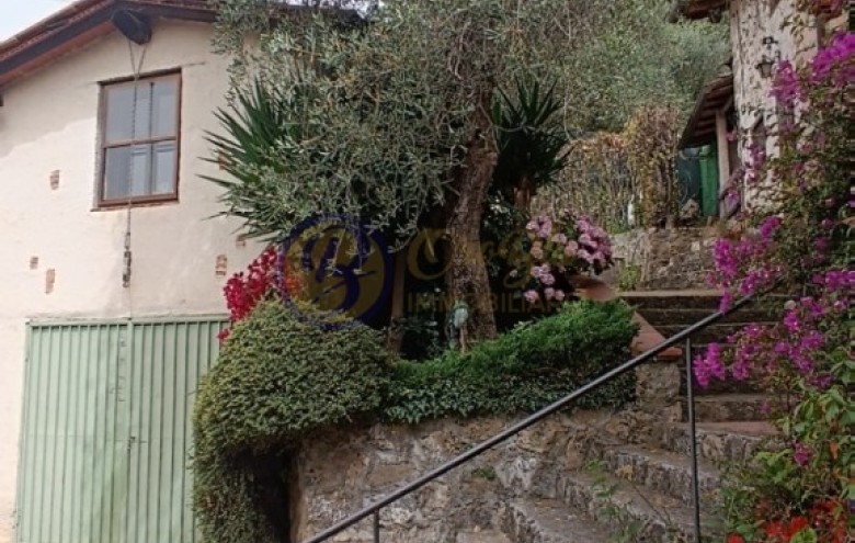 Rustico in vendita a Camaiore