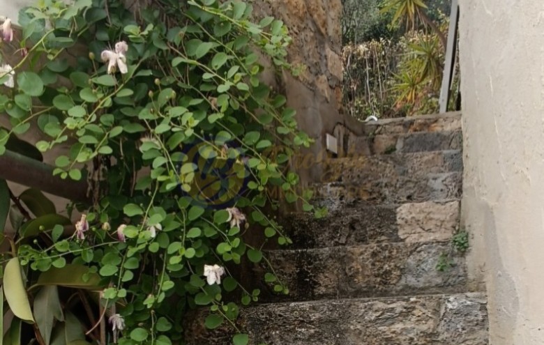 Rustico in vendita a Camaiore