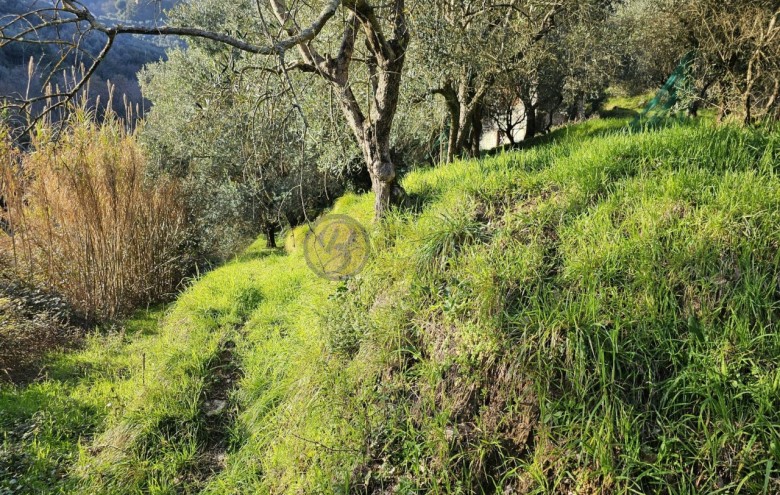 Rustico in vendita a Camaiore