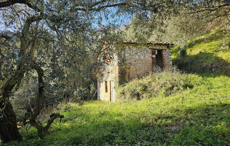 Rustico in vendita a Camaiore