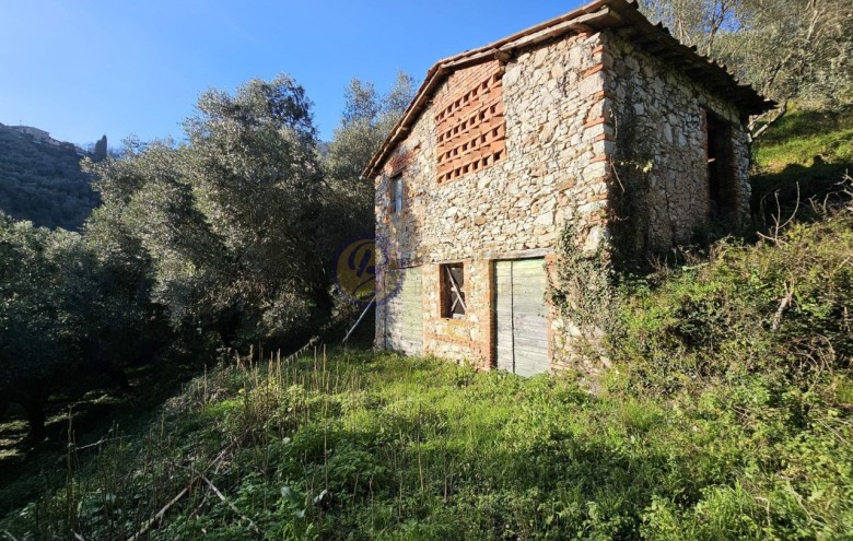 Rustico in vendita a Camaiore