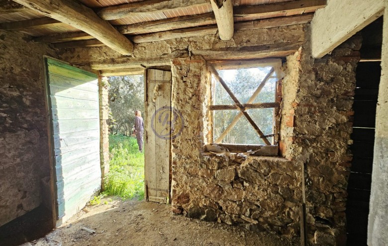 Rustico in vendita a Camaiore