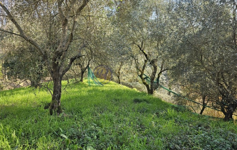 Rustico in vendita a Camaiore