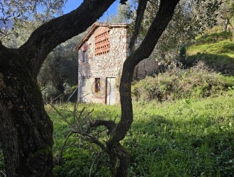 Rustico in vendita a Fibbialla