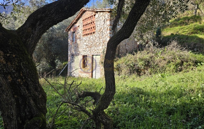 Rustico in vendita a Camaiore
