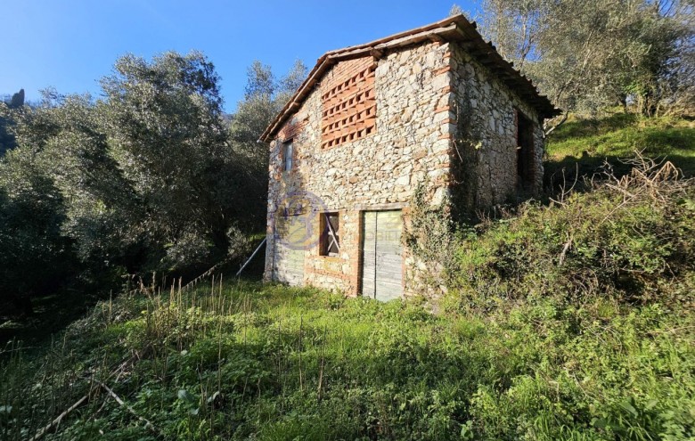 Rustico in vendita a Camaiore