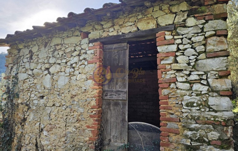 Rustico in vendita a Camaiore