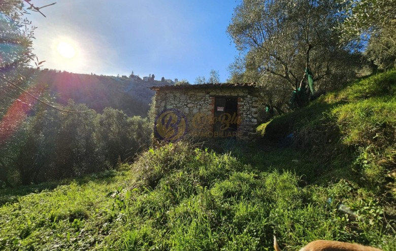 Rustico in vendita a Camaiore