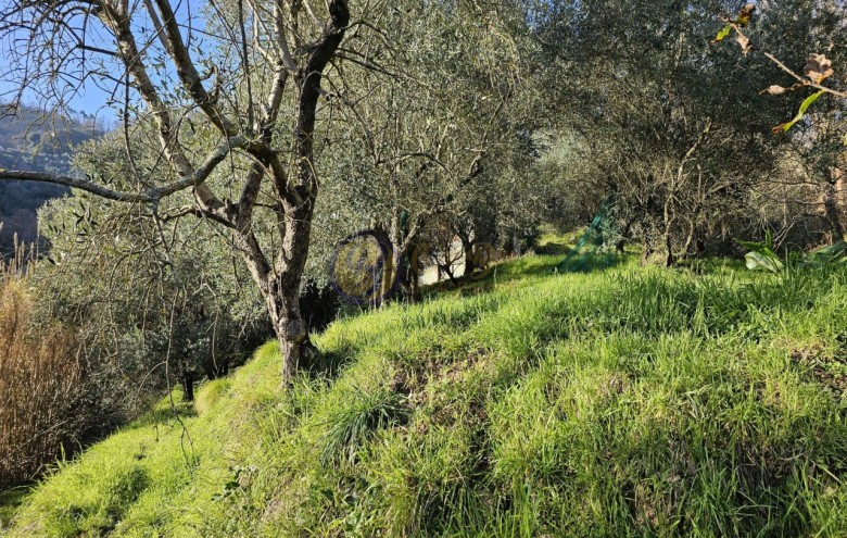Rustico in vendita a Camaiore