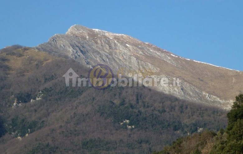 Rustico in vendita a Camaiore