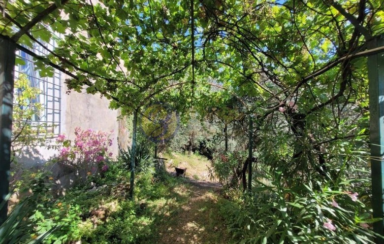 Terratetto in vendita a Camaiore