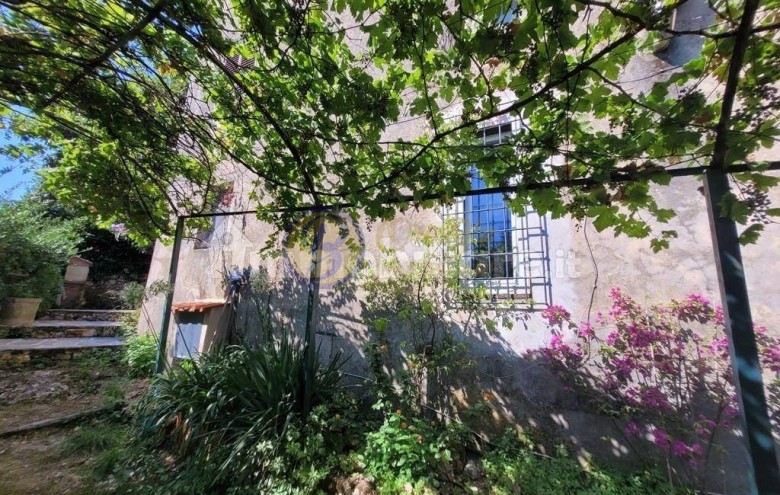 Terratetto in vendita a Camaiore