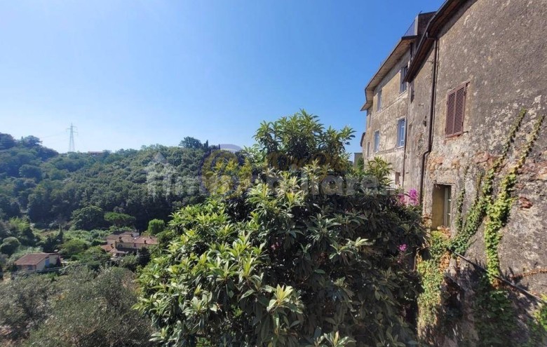 Terratetto in vendita a Camaiore