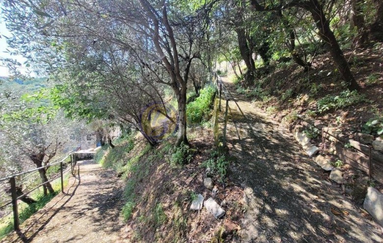 Terratetto in vendita a Camaiore