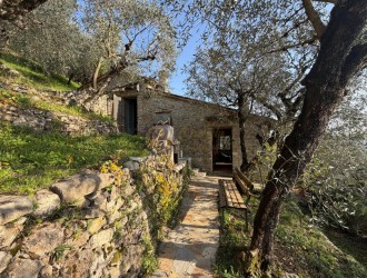 Rustico in vendita a Pieve di Camaiore