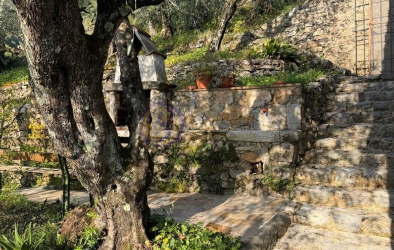 Rustico in vendita a Camaiore