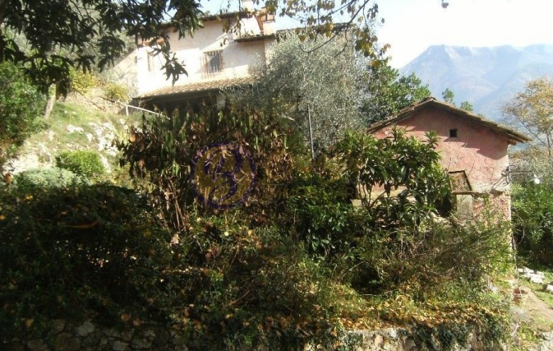 Rustico in vendita a Camaiore