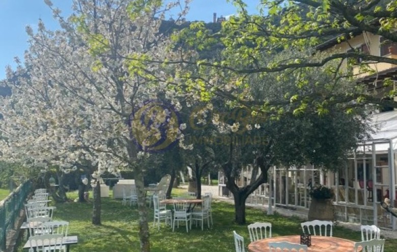 Villa singola in vendita a Camaiore