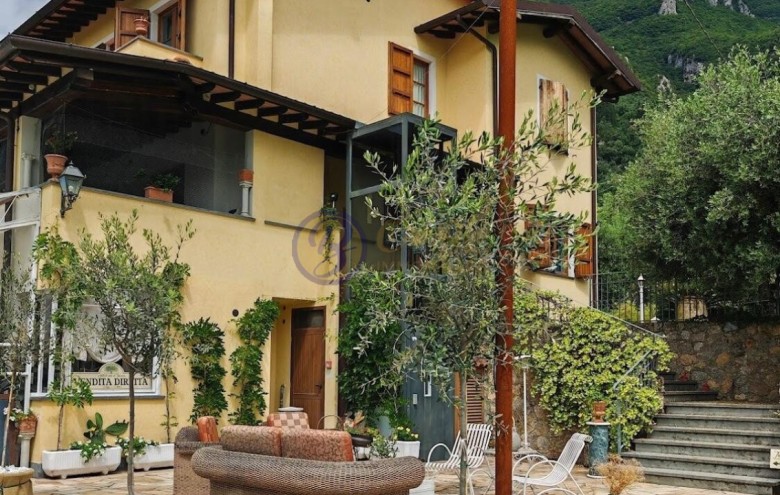 Villa singola in vendita a Camaiore