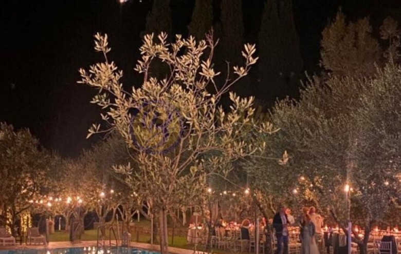 Villa singola in vendita a Camaiore